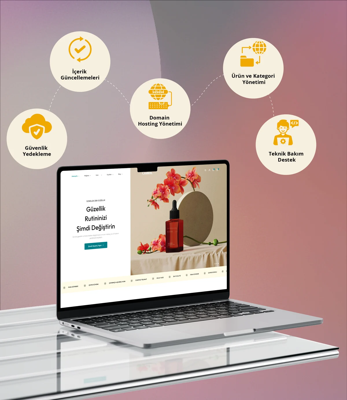 Web Sitesi Yönetimi Hizmetleri Web Sitesi Yönetimi Hizmetleri